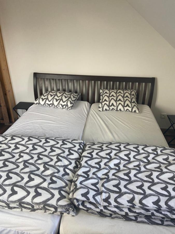 Horsky Apartman Pod Jestedem Appartement Liberec Buitenkant foto